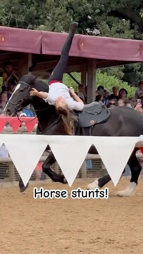 Medieval Horse Stunts at Warwick Castle 🏰 #Jousting