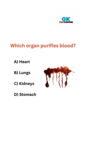 Easy GK Questions 🤔 | General Knowledge Quiz । #shorts #gkquiz