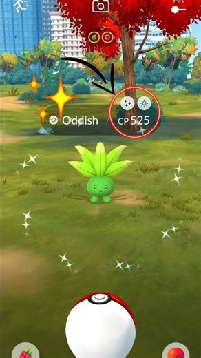 Got ✨ 525 ✨ Shiny Oddish in Pokemon Go #pokémongo #pokémon #pokemongo #pokemon #shinypokemon
