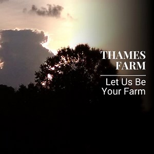 We want to be your farm!! | Thames Farm