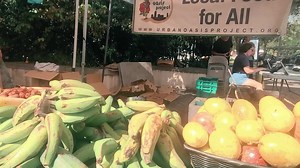 119 reactions · 35 shares | The Vizcaya Village Farmers Market accepts SNAP benefits and doubles their value for Florida grown fruits and veggies. Come check out the market every Sunday, 9:00 a.m. – 2:00 p.m. | Vizcaya Museum and Gardens | Facebook