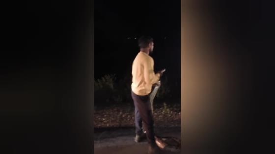 Drivers catch huge python seen slithering across road in India