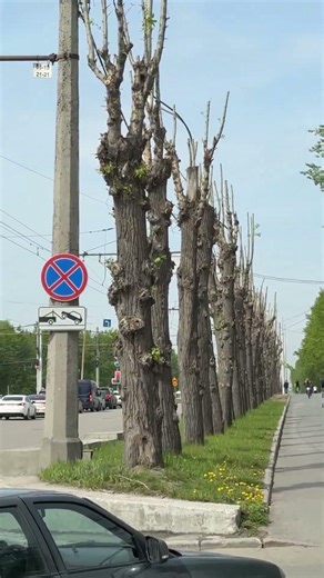 Аллея