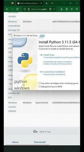 Did you Install Python Correctly?✅
