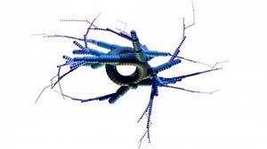 Fractal Structures Animation Stock Footage Video (100% Royalty-free) 3451013 | Shutterstock