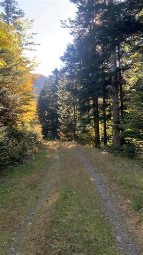 3.6K reactions · 500 shares | Patrick Girard on Reels | Facebook