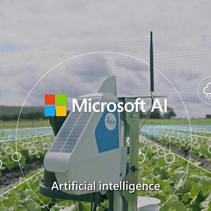 What if you had the tools to help predict when to plant, when to water, and when to harvest to create more food and less waste? The Yield uses Microsoft AI to take the guesswork out of farming. | Microsoft