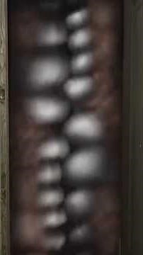 Never Go To Smile Room