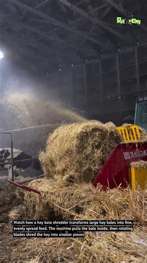 Hay Bale Shredder in Action | Fast & Efficient Cattle Feeding 🐄