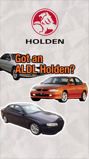 Everyone says ALDL Holdens can’t be scanned… That’s wrong. VR, VS, VT, VX, VY, VZ, and even VE & VF ✔️ We’ve got scan tools that actually connect. Follow for real diagnostics 👨‍🔧 #Holden #ALDL #Commodore #CarTok #MechanicTok #AussieCars