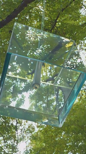 floating glass cube in a sunlit forest
