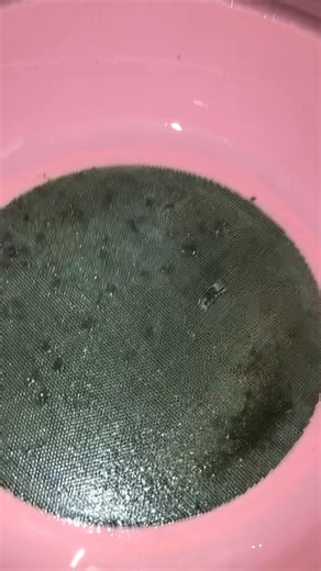 Something Fishy on Reels