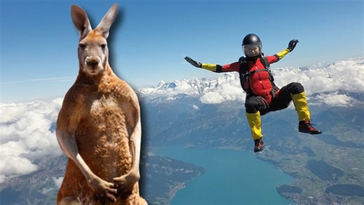 Skydiver Gets Kicked By Kangaroos, Al Roker's Midair Prison Snack & A Startling Elevator Revelation
