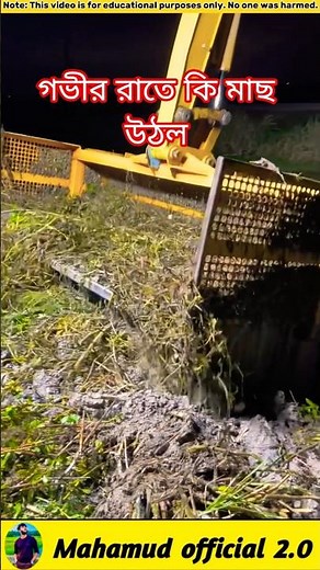 Did the fish rise late at night? 🐟#fishinglife #facts #shorts #shortvideo #viral #viralvideo