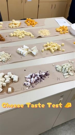 Cheese tasting??? 🧀