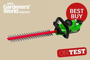 Greenworks G40HT61K2 hedge trimmer review
