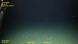 1.3M views · 11K reactions | The US Coast Guard Marine Board of...