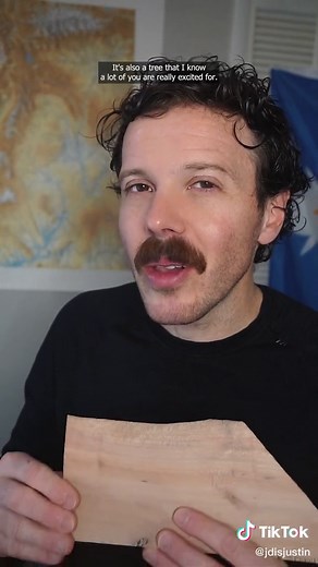 Reply to @emelynleiva51 get to know a state tree: Virginia’s Flowering Dogwood #trees #woodworking #virginia #learnontiktok #dogwood #map #statetreemap