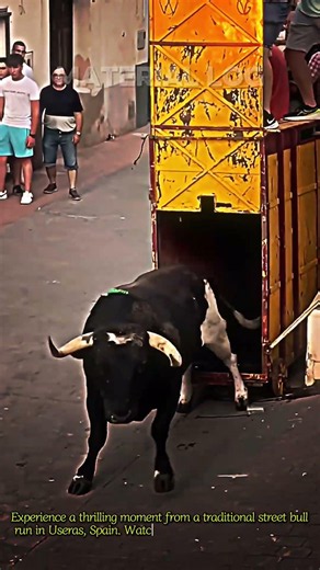 You Won't Believe This Insane Bull Dodging Techniq
