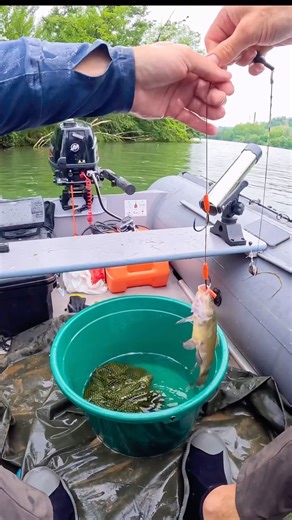 191K views · 10K reactions | #fishing #catfish #catfishing #samucope | SamuCope | Facebook