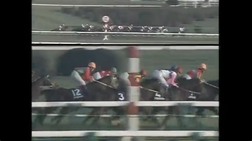 Tokai Teio's comeback race in 1993 Arima Kinen after his recovery, Hachimi Vs Biwa | Elaina Ashen