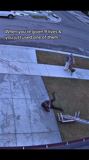 Navigating Family Life with Anxiety in the Godfrey Home