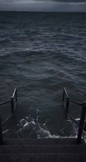 Rango: Nakakatawang Eksena at Huling Laban