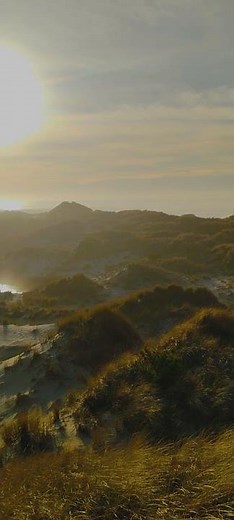 Sand Dunes At The Pacific Ocean / Florence Oregon