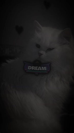 Explore Old Alight Motion Presets