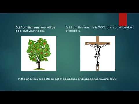 Jesus is the tree of life