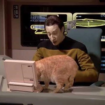 Data's cat Spot – TNG no context #startrek