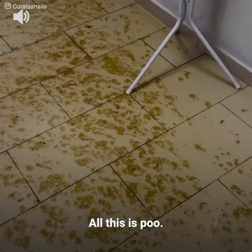 2.7K views · 19 reactions | "Look how it's falling... We've got poo all over the place". This manicurist couldn't believe it. The building's sewage downspout had broken and all her neighbors' waste… was going into her place. She implored them to please turn off the water and stop flushing the toilet. However, none of them listened to her. The rain of feces continued to fall. She had lost everything that she had spent years building... | The Witness | Facebook