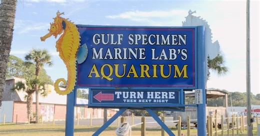 Gulf Specimen Marine Lab calls for ordinance change over sign