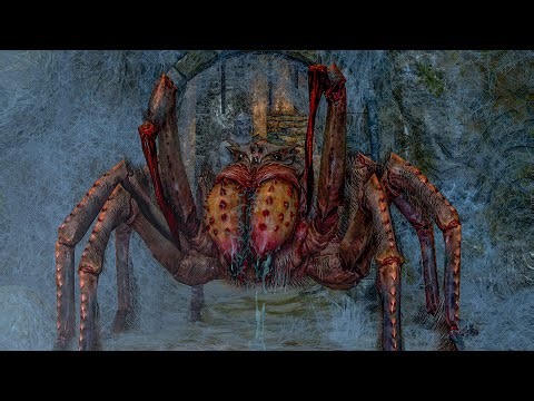 If you DON'T KILL the spider in Bleak Falls Barrow, new lines of dialogue will open