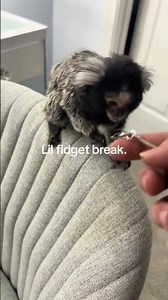 ❄️WAIT! Get this fidget on sale rn for $9. This will change your life and relieve your stress.🎉