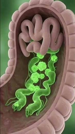 “What Happens to Your Body When You Eat Grapes?”