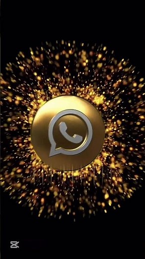 Yamaha TDM 900 ABS MOTOFAN