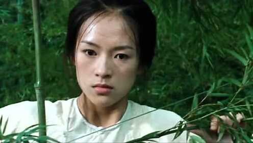 《卧虎藏龙》——竹林打斗