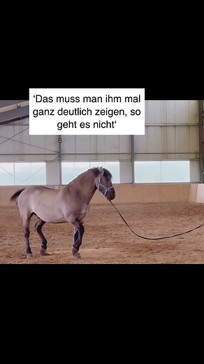 Wenn ein Pferd plötzlich nicht mehr mitmacht – nicht mehr reitbar ist, ständig ausweicht, blockiert oder gefährlich wird, auf den Menschen losgeht – dann steckt nie einfach nur „Sturheit“ oder „Dominanz“ dahinter. Es wird erst recht gefährlich, wenn man hier „mal zeigt, dass das Pferd Respekt zollen muss“ - einige Pferde resignieren und tragen die Probleme weiter ins sich, bis sie irgendwann ausbrechen. Andere werden gefährlich, weil sie sich eine Stimme verschaffen wollen. Beide Typen zeigen un