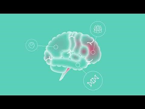 What causes FND?