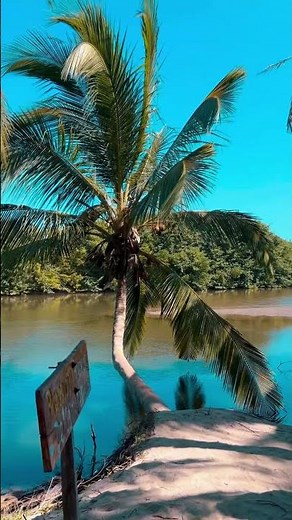 Tayrona National Park Is Pure Magic 🇨🇴🌿