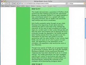 Video Tutorial: NetLogo #1