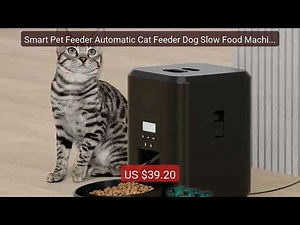Smart Pet Feeder Automatic Cat Feeder Dog Slow Food Machine Wi... — Best Buy 2026 | Great Quality!