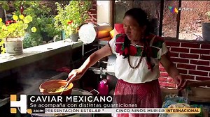 🔴 Carolina Rocha nos lleva hasta la casa de Doña Claudia, destacada cocinera tradicional de Santiago de Anaya, Hidalgo, para presenciar una fiesta de sabores. 👇 | Azteca Noticias