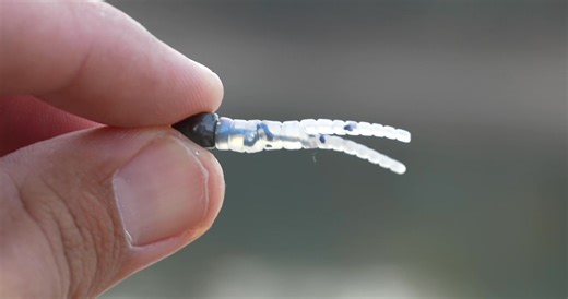 The Eye Hole Tungsten pairs perfectly with the Trout Magnet or the new Cross bait making it deadly for those finicky fish. Can Black Friday come soon enough? | Crappie Magnet