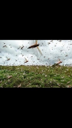 Os vídeos de 000 (@narutinho_game_play) com Sandy Freaks By Northmane - steven