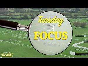 Tuesday in Focus