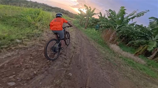 🚵🐽 #fy #bikelife #vtt #downhill #viral @Red Bull Bike @GoPro World 🌍 @Continental @SRAM MTB @BurgtecOfficial @Burgtec @Red Bull @redbullfrance