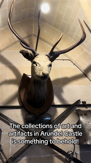 Just a few things in Arundel Castle’s collection of historical items! #history #arundelcastle