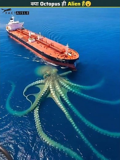 Earth’s Strangest Creature 😱 Are Octopuses Actually Aliens? 👽